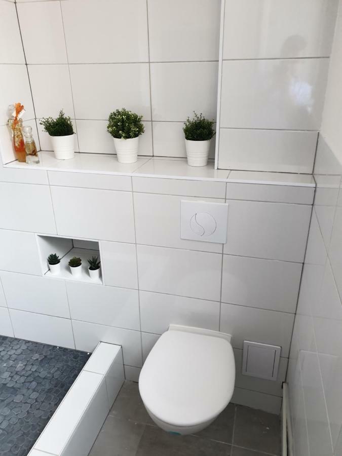 Апартаменти Strasbourg Centre Le 85, Superbe F5, 125M2, 5 Pieces Екстер'єр фото