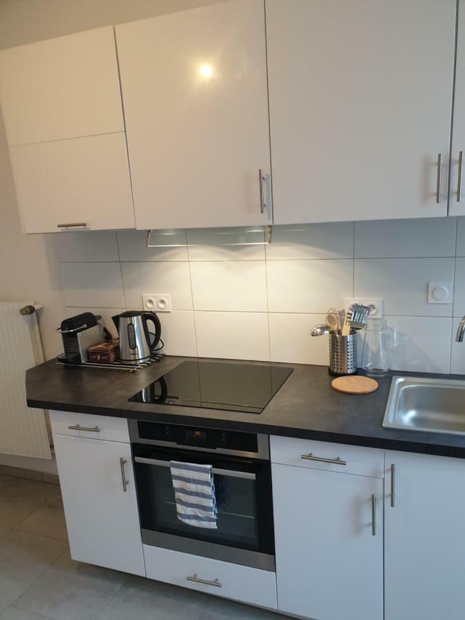 Апартаменти Strasbourg Centre Le 85, Superbe F5, 125M2, 5 Pieces Екстер'єр фото